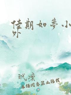 佳期如梦小说番外