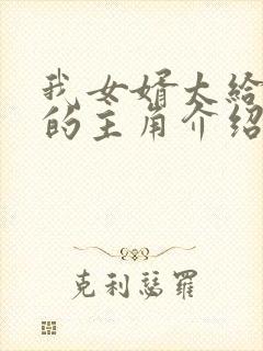 我女婿太给力了的主角介绍