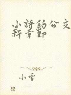 小诗的公交车最新章节