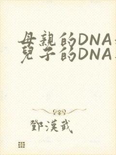 母亲的DNA和儿子的DNA是一样的吗