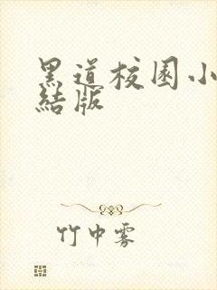 黑道校园小说完结版