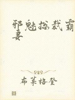 邪魅总裁霸占新妻