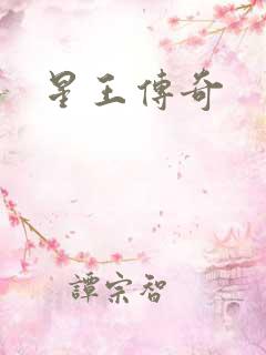 星王传奇