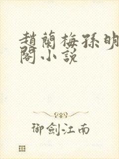 赵兰梅孙明笔趣阁小说