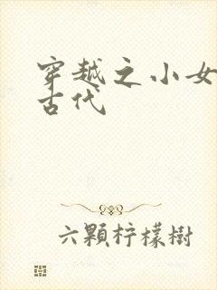 穿越之小女子闹古代