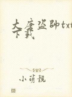 大唐盗帅txt下载