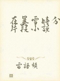 在暴雪时分高能片段小说