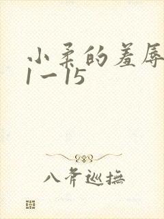 小柔的羞辱日记1一15