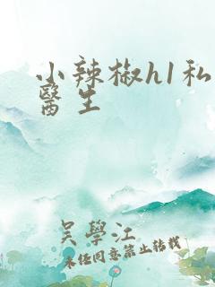 小辣椒h1私人医生
