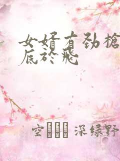 女婿有劲枪枪到底于飞