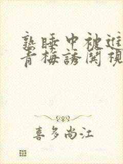 熟睡中被进了H青梅诱哄视频