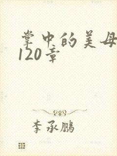 掌中的美母版主120章