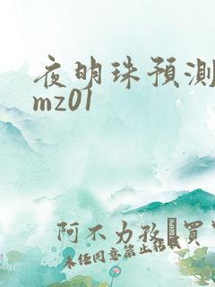 夜明珠预测 ymz01