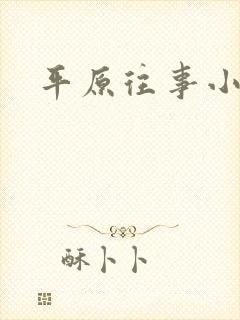 平原往事小说