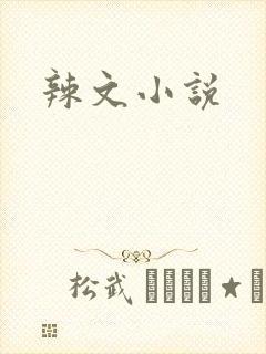 辣文小说