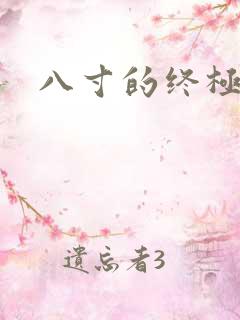 八寸的终极凶器