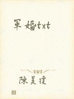 军婚txt