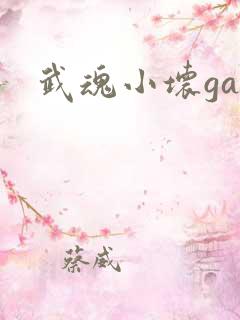 武魂小坏ga