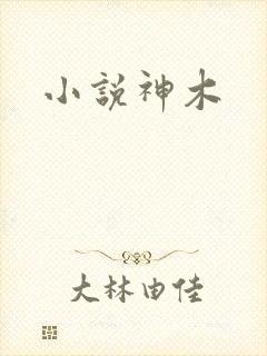 小说神木