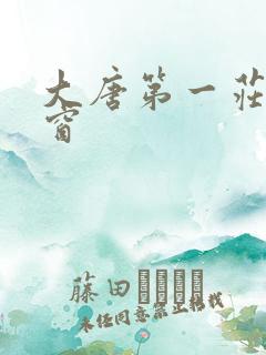 大唐第一庄无弹窗