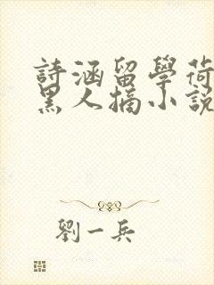 诗涵留学荷兰被黑人摘小说