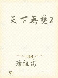 天下无双2
