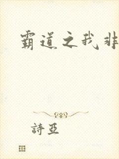 霸道之我非英雄