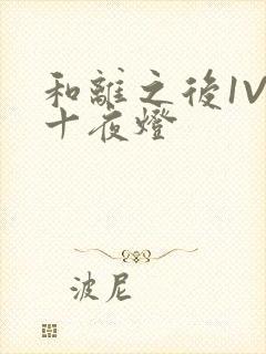 和离之后1V1十夜灯
