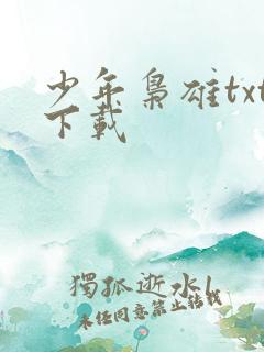 少年枭雄txt下载