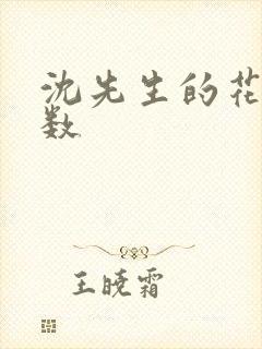 沈先生的花式调数