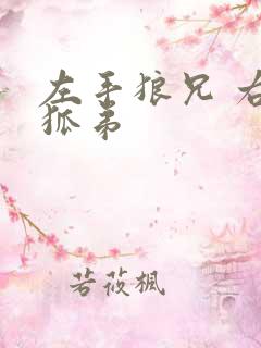 左手狼兄 右手狐弟