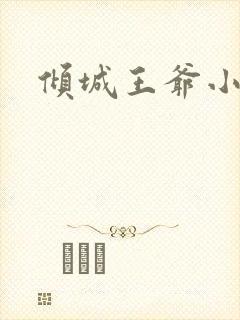 倾城王爷小小妃