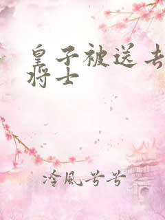 皇子被送去犒劳将士