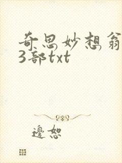 奇思妙想翁乱13部txt