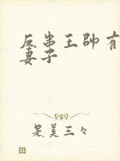 反串王帅有几任妻子