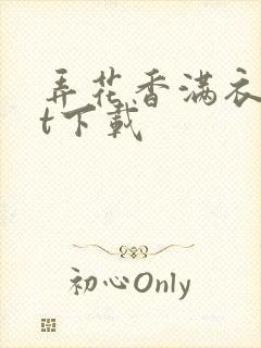 弄花香满衣txt下载