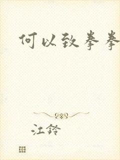 何以致拳拳番外