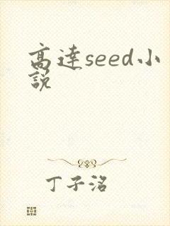 高达seed小说