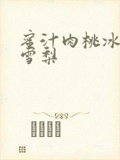 蜜汁肉桃冰糖炖雪梨