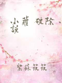 小萝 破除 小说