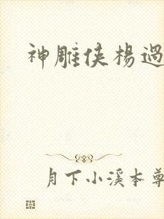 神雕侠杨过后传