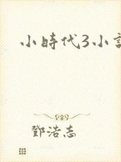 小时代3小说
