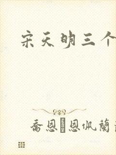 宋天明三个婆娘