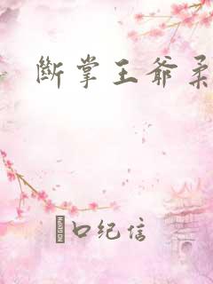 断掌王爷柔水妃