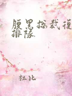 腹黑总裁复婚请排队