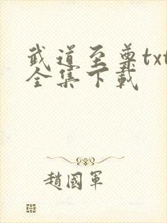 武道至尊txt全集下载