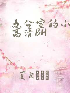 办公室的小秘书高清BH