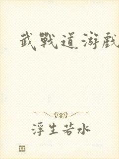 武战道游戏
