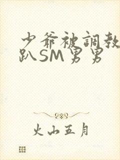 少爷被调教室跪趴SM男男