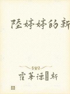 陆婷婷的新故事